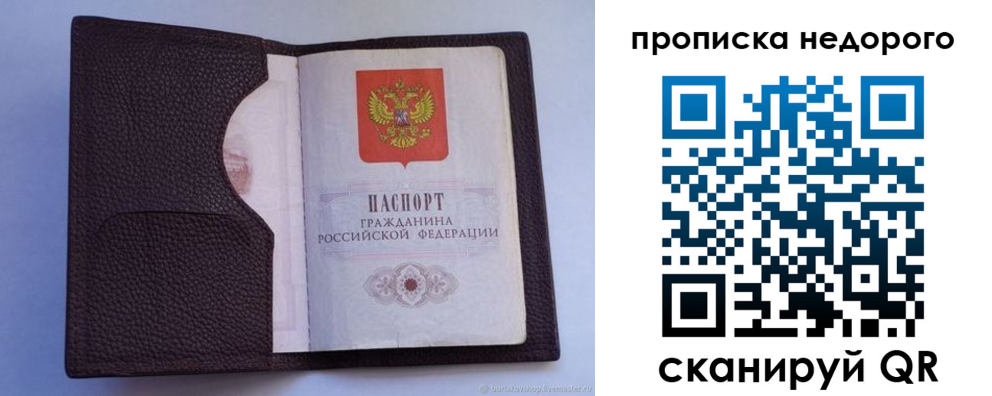 прописка законно в Сольцах