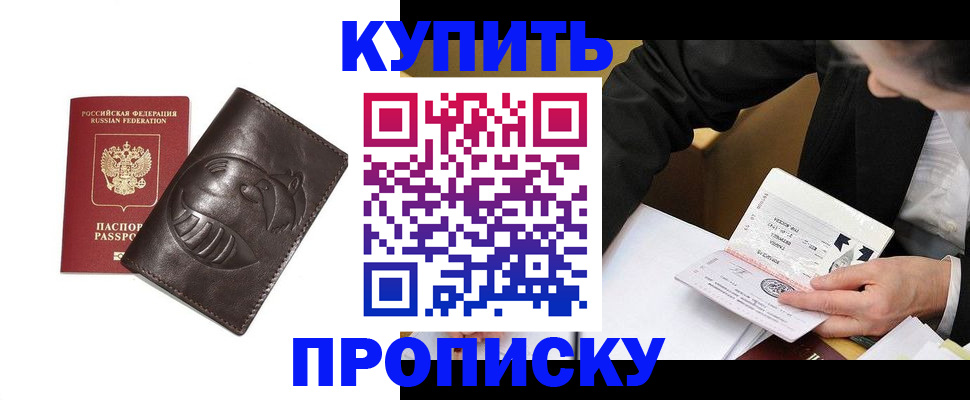 прописка для работы в Сольцах